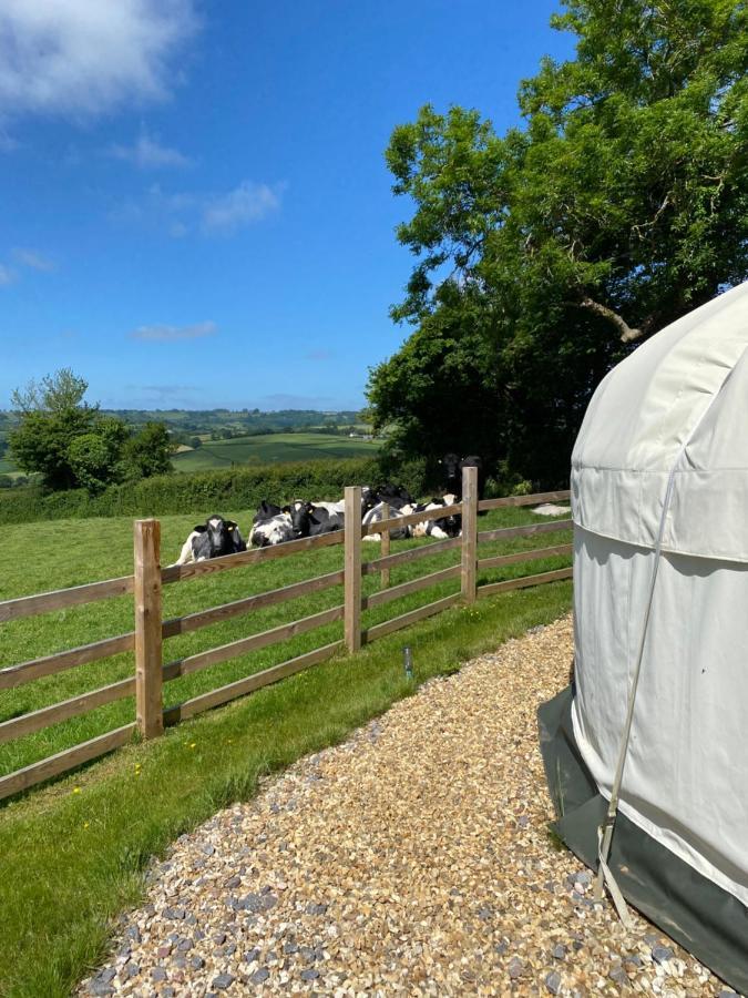 The Yurt @ Osmore Hotel Axminster Exterior photo